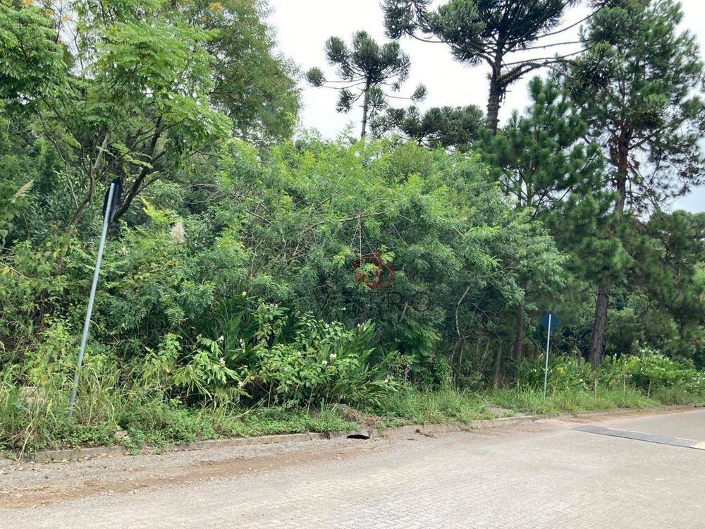 Terreno, 3271 m² - Foto 7