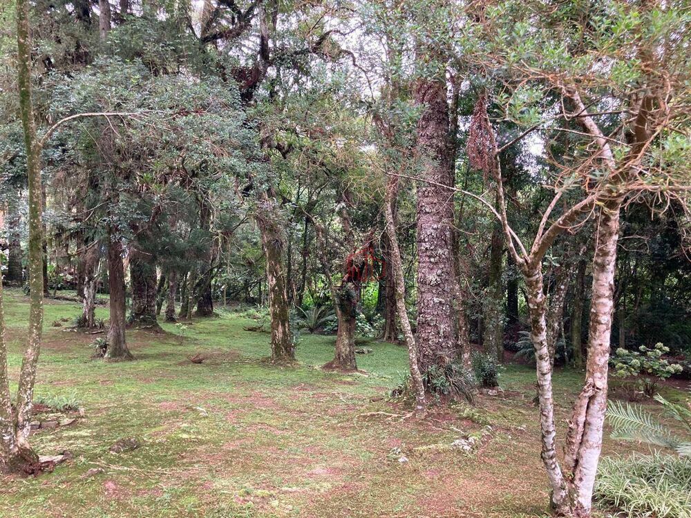 Terreno, 3271 m² - Foto 4