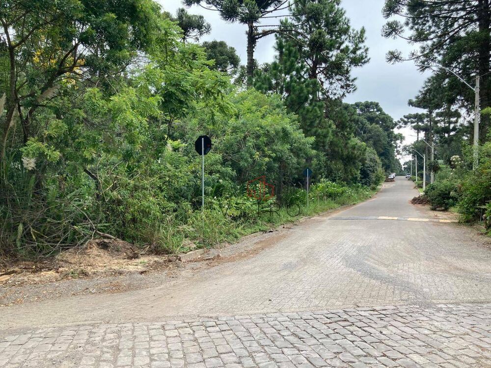 Terreno, 3271 m² - Foto 8