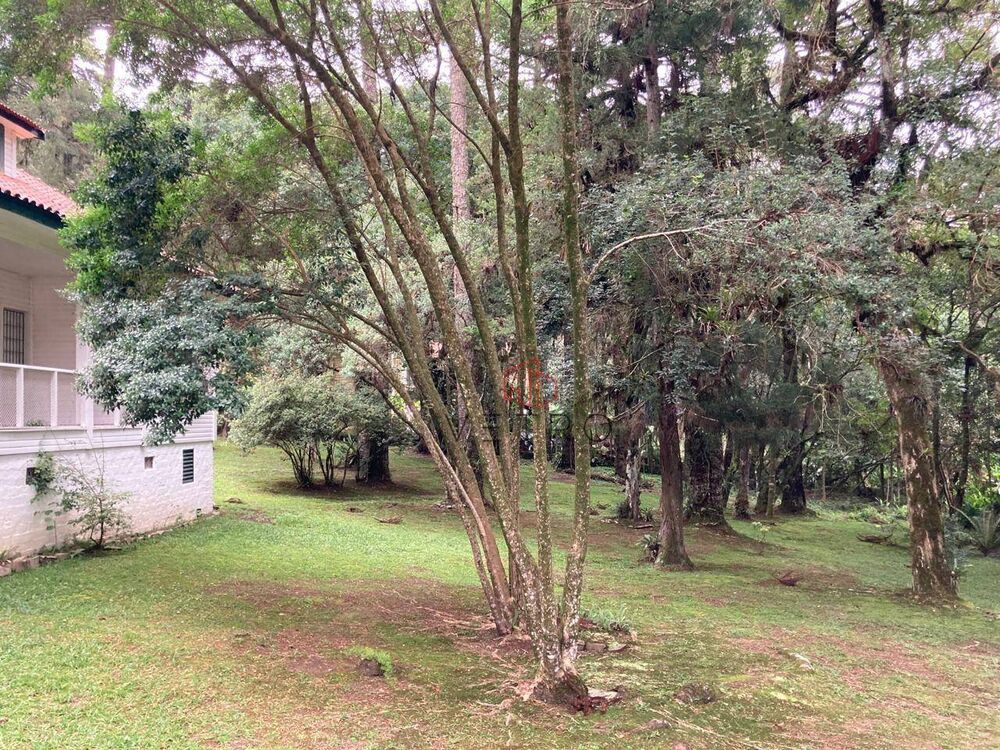 Terreno, 3271 m² - Foto 5