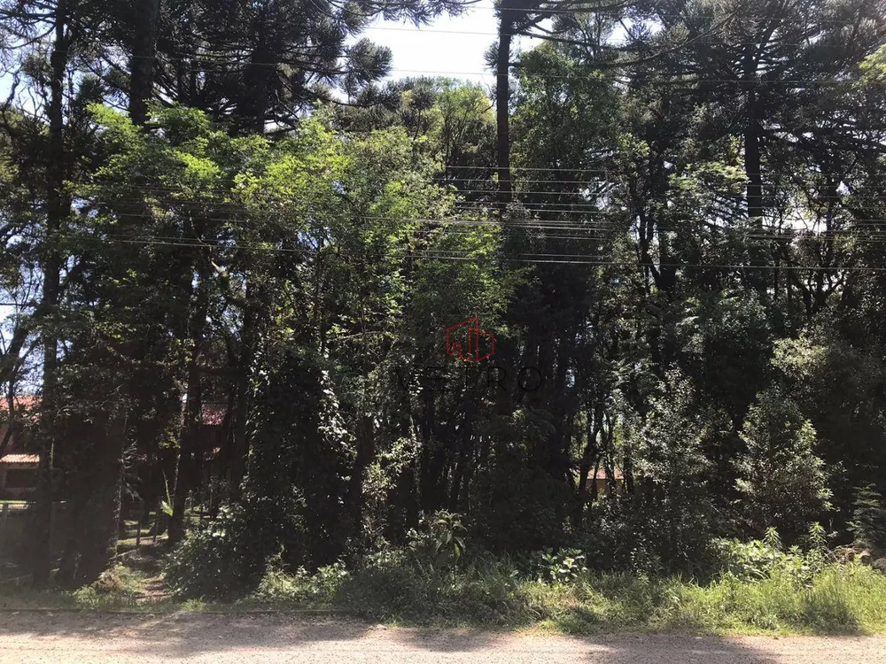 Terreno, 2250 m² - Foto 4