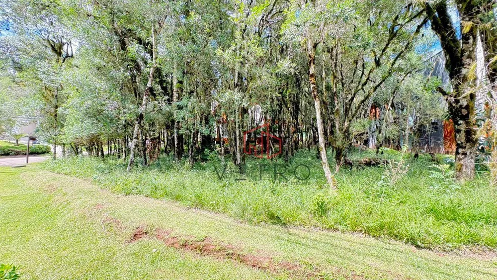 Loteamento e Condomínio, 733 m² - Foto 3