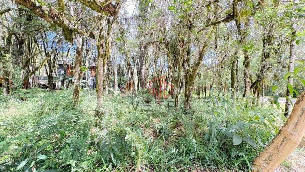 Loteamento e Condomínio, 733 m² - Foto 2