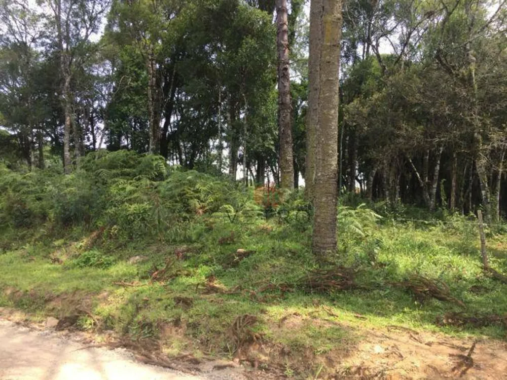 Terreno, 2 hectares - Foto 2