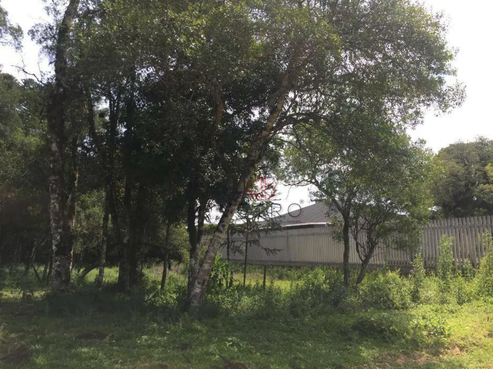 Terreno, 2 hectares - Foto 1