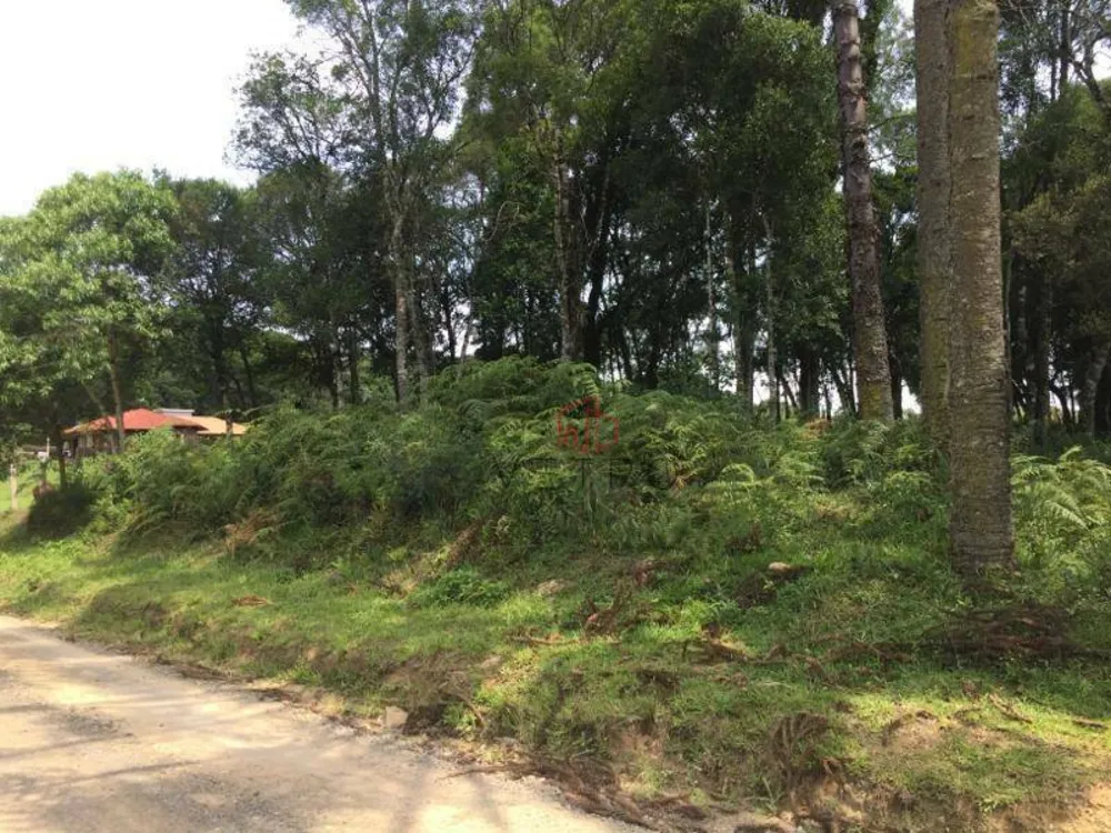 Terreno, 2 hectares - Foto 3