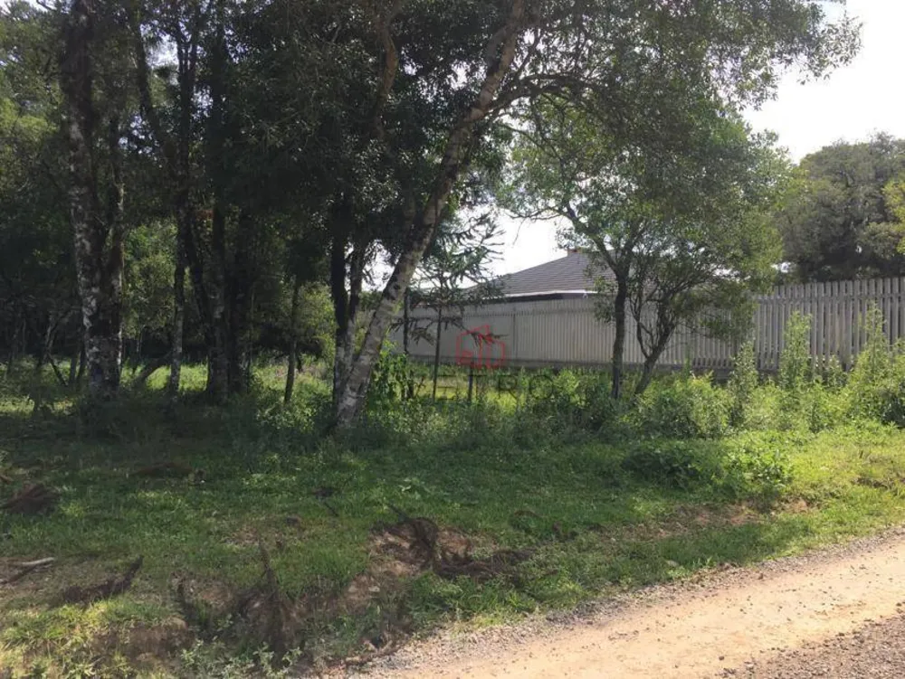 Terreno, 2 hectares - Foto 4