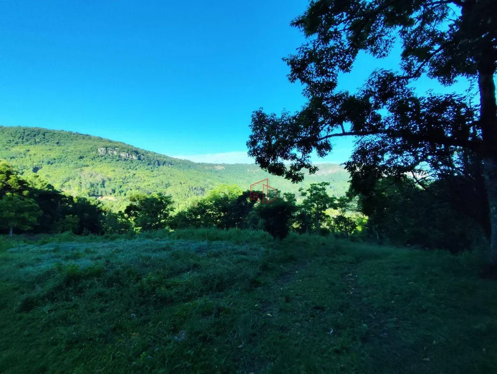 Sítio, 15 hectares - Foto 8