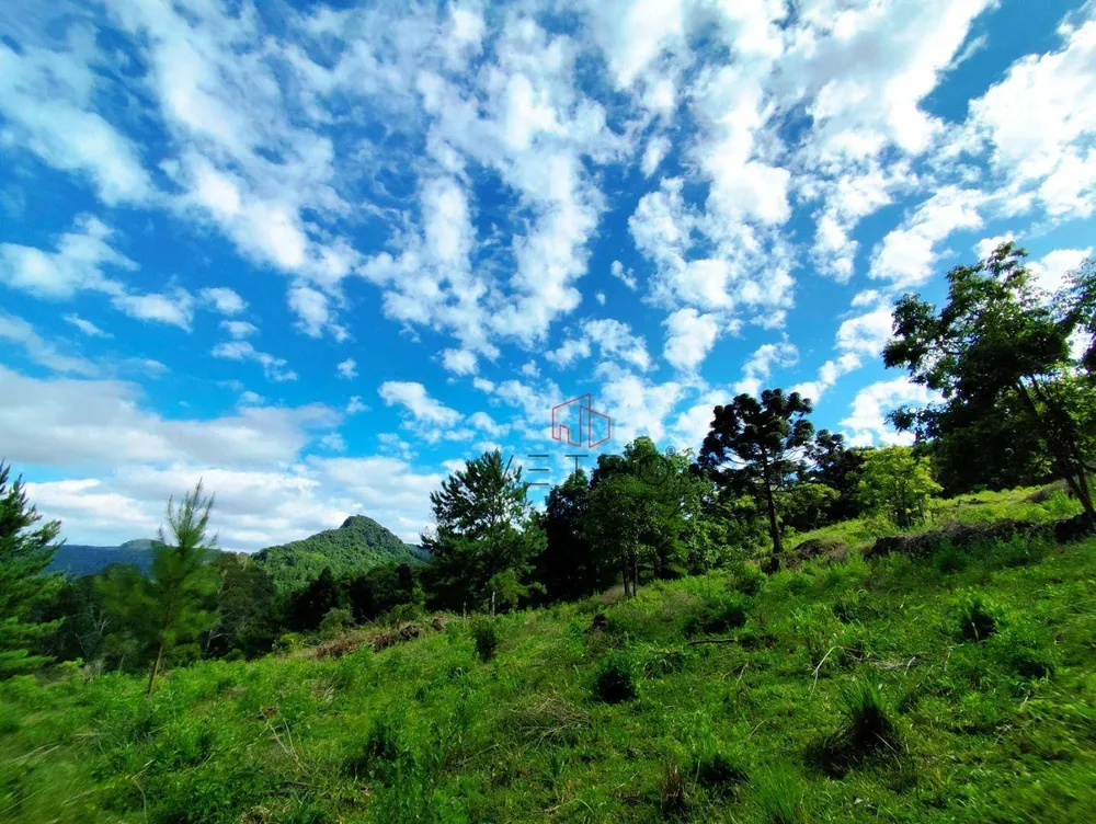 Sítio, 15 hectares - Foto 4