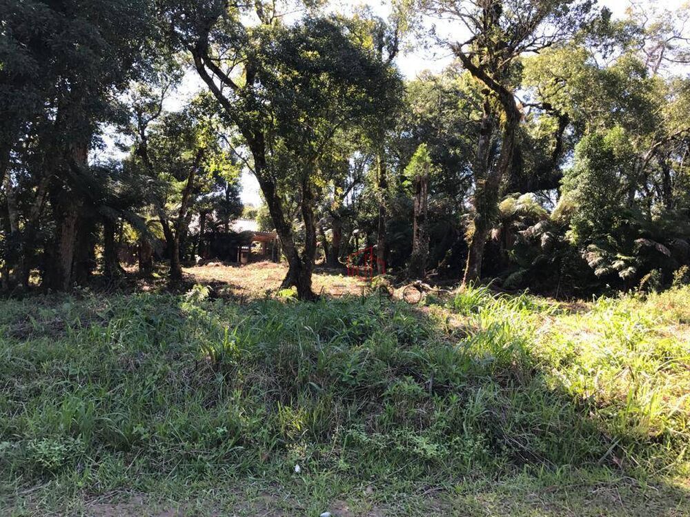 Terreno, 688 m² - Foto 6