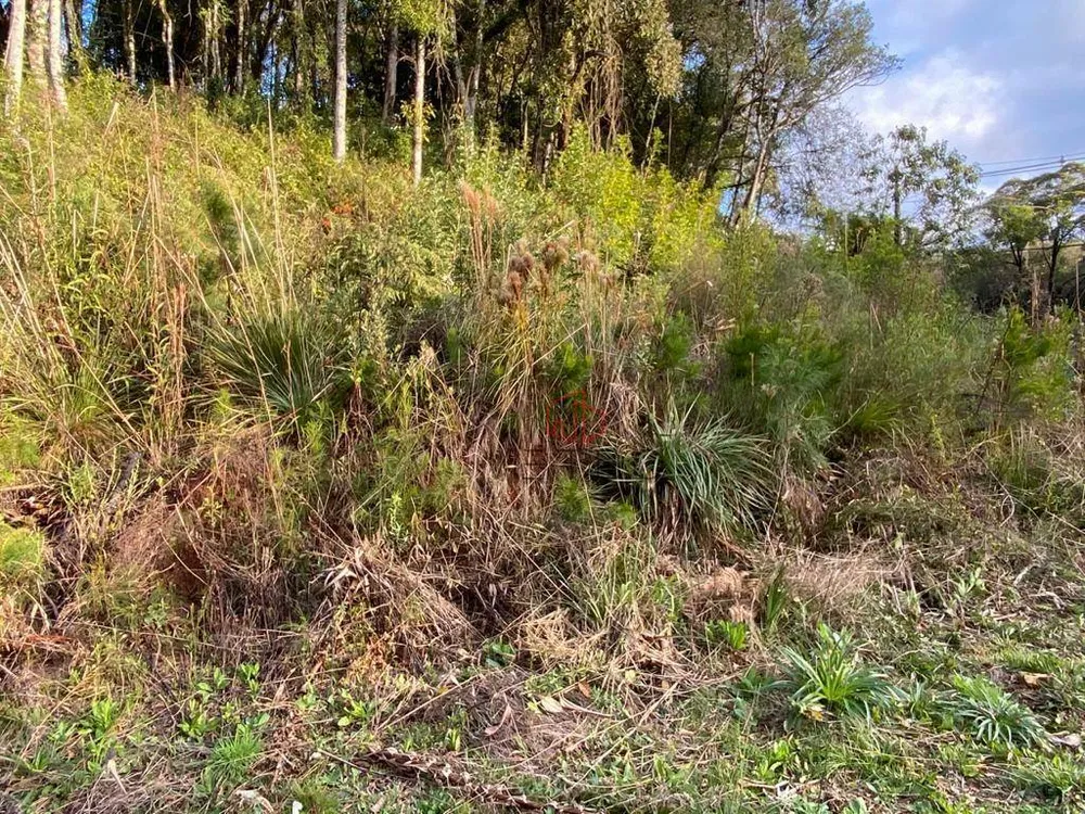 Terreno, 1 hectares - Foto 3