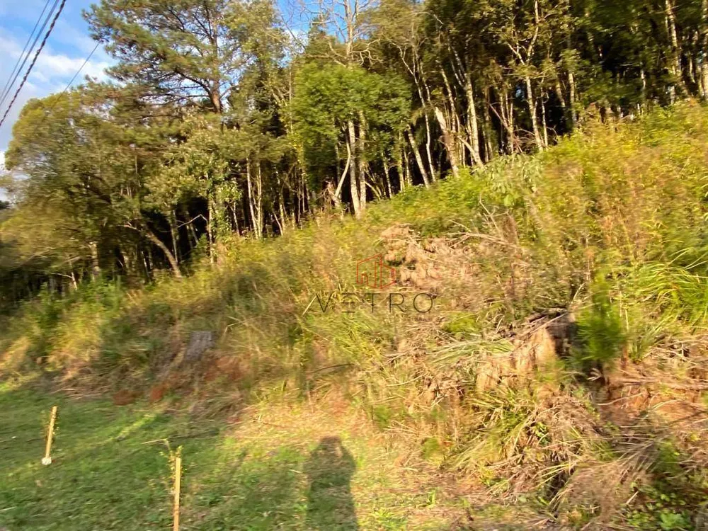 Terreno, 1 hectares - Foto 5