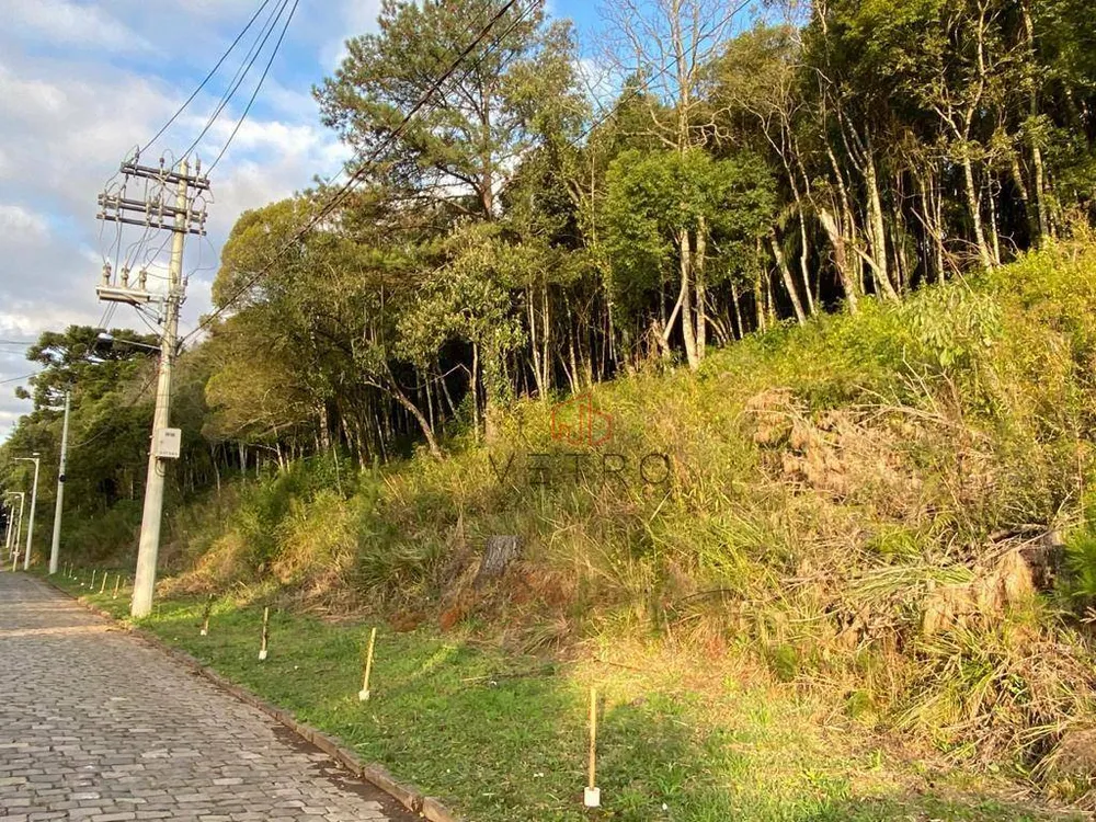 Terreno, 1 hectares - Foto 8
