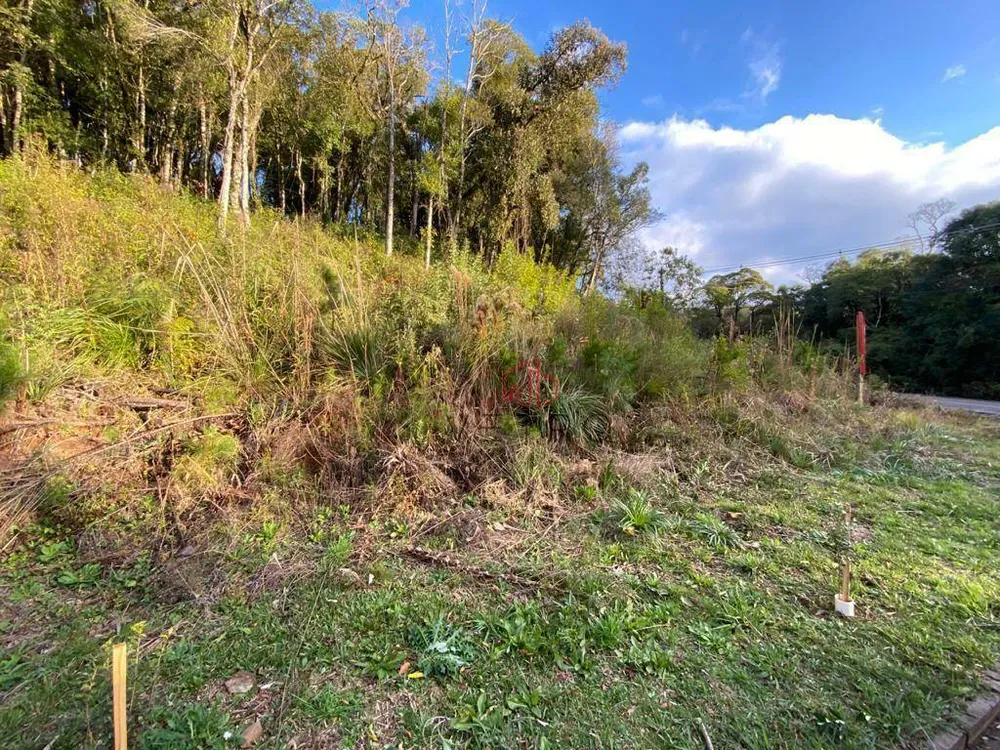 Terreno, 1 hectares - Foto 6