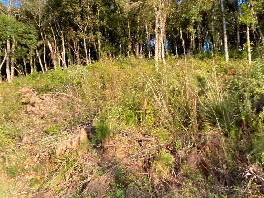 Terreno, 1 hectares - Foto 4