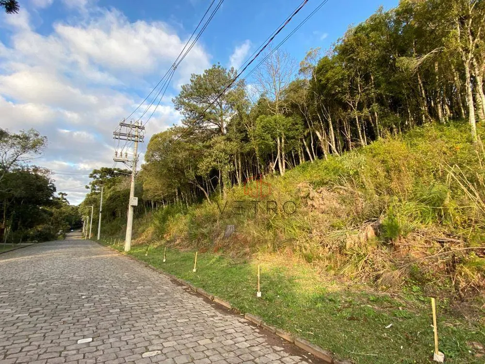 Terreno, 1 hectares - Foto 2