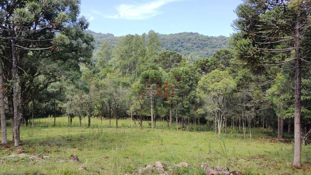 Sítio, 2 quartos, 10000 m² - Foto 3