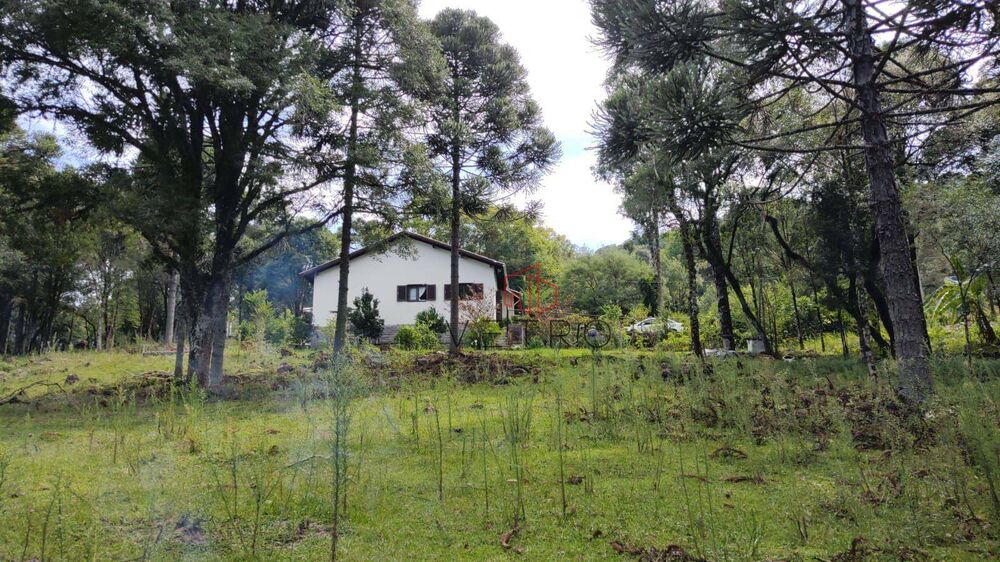 Sítio, 2 quartos, 10000 m² - Foto 1