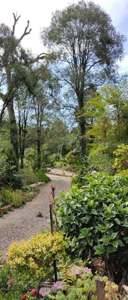 Sítio, 2 quartos, 10000 m² - Foto 5