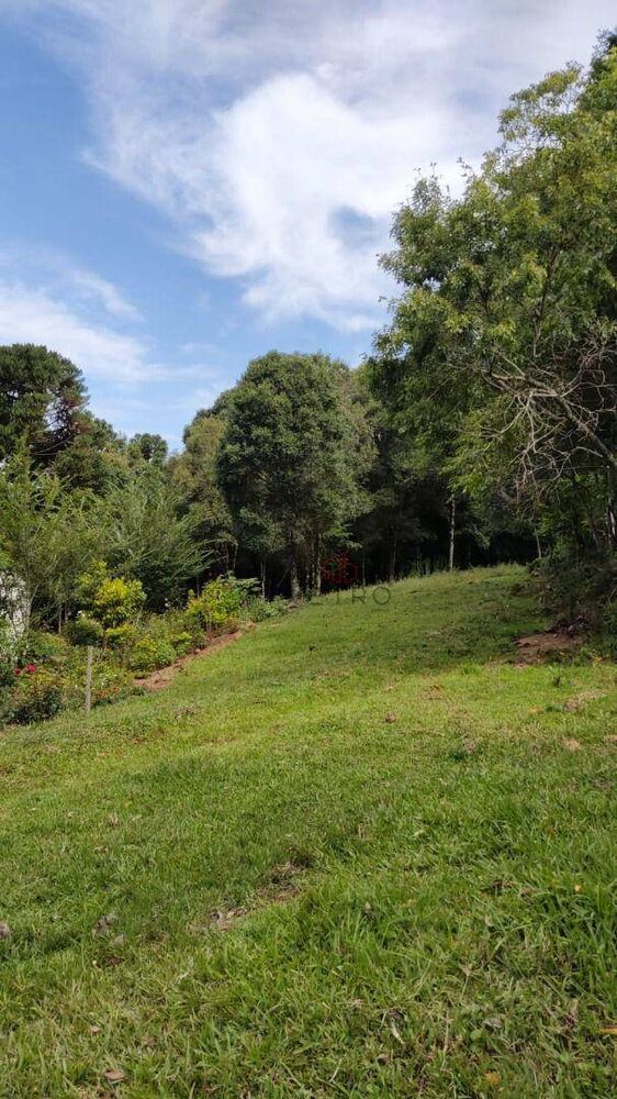 Sítio, 2 quartos, 10000 m² - Foto 7