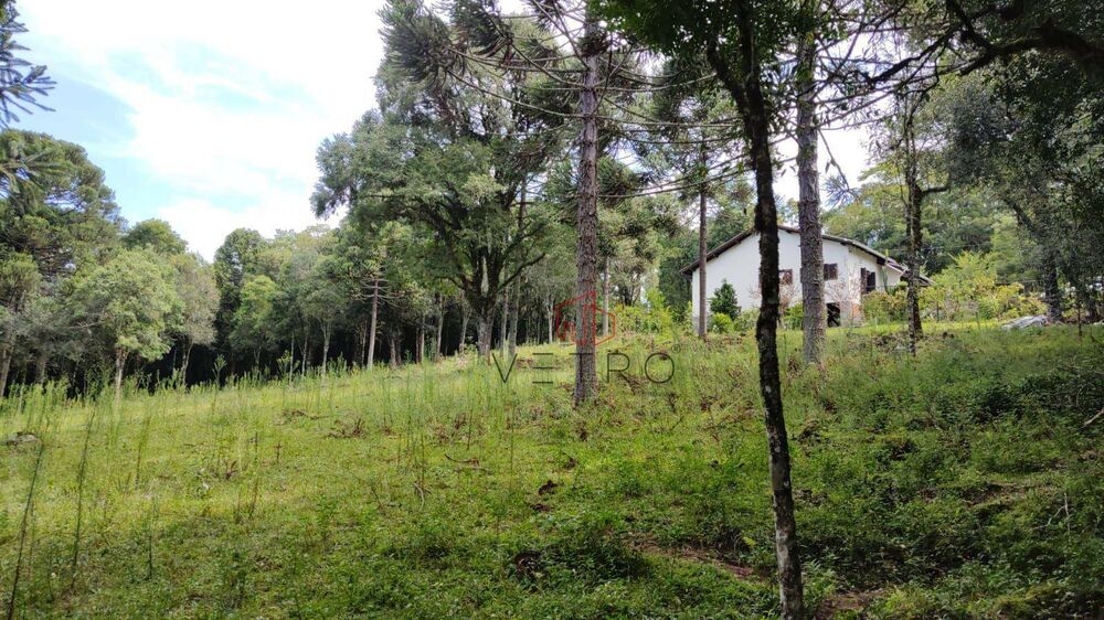 Sítio, 2 quartos, 10000 m² - Foto 4