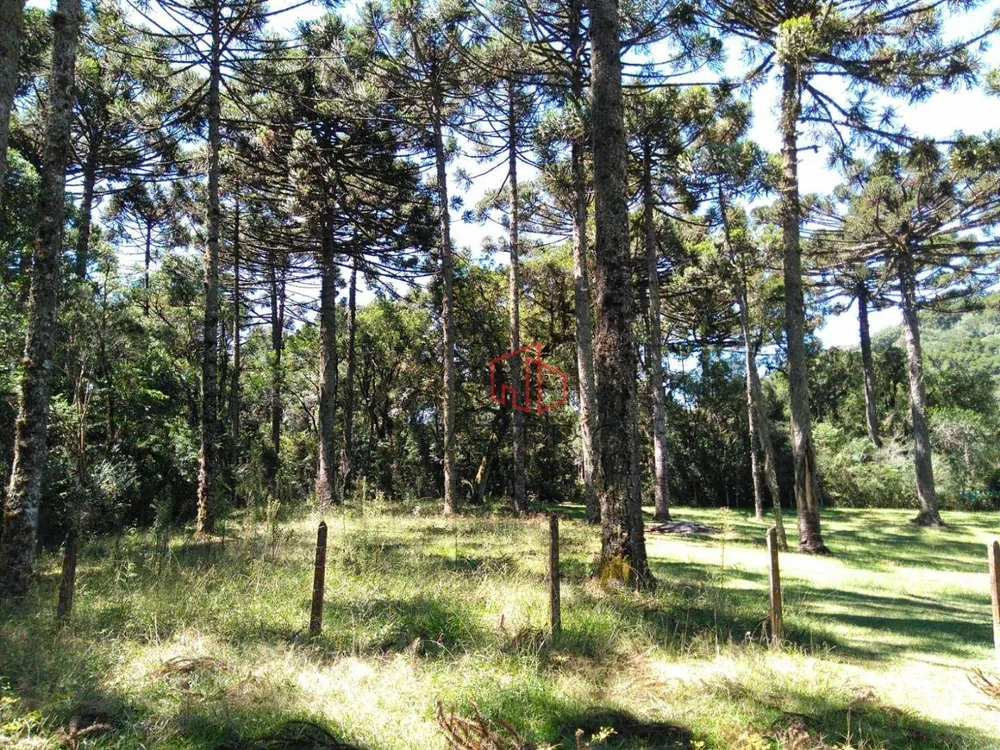 Terreno, 750 m² - Foto 3