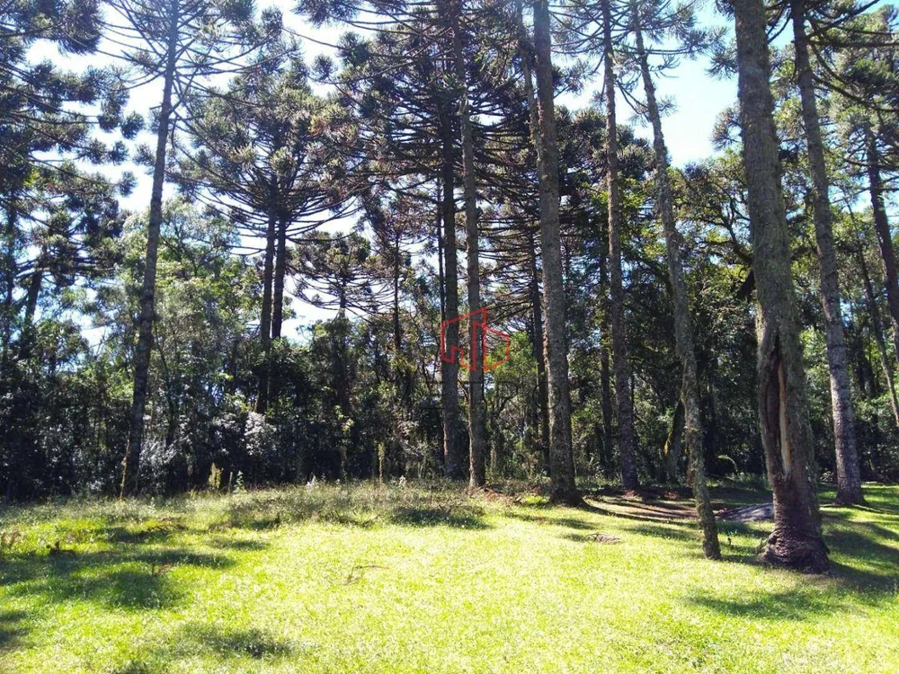 Terreno, 750 m² - Foto 1