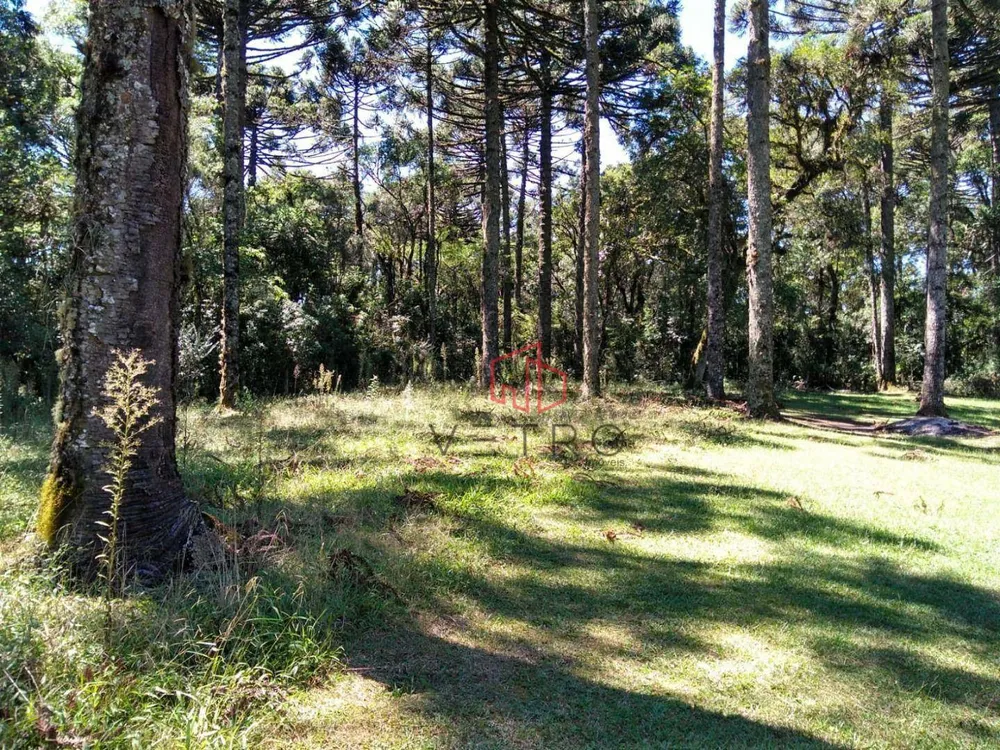 Terreno, 750 m² - Foto 4