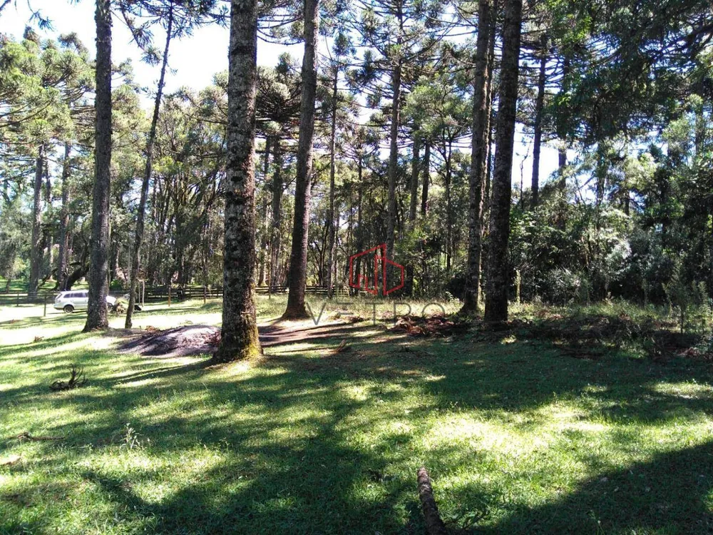 Terreno, 750 m² - Foto 5