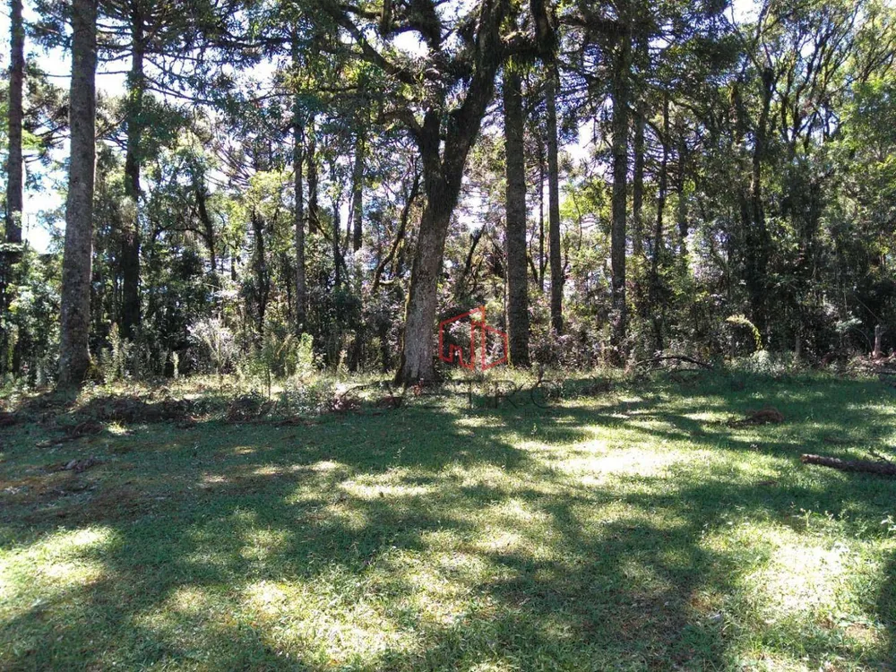 Terreno, 750 m² - Foto 2