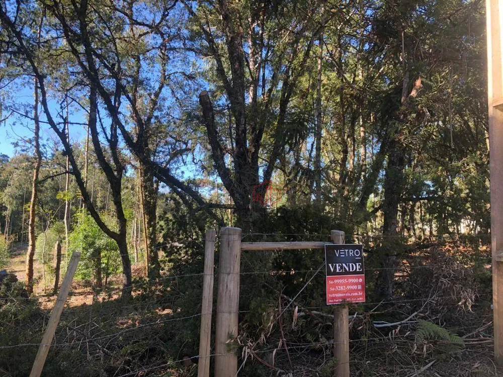 Terreno, 1400 m² - Foto 2