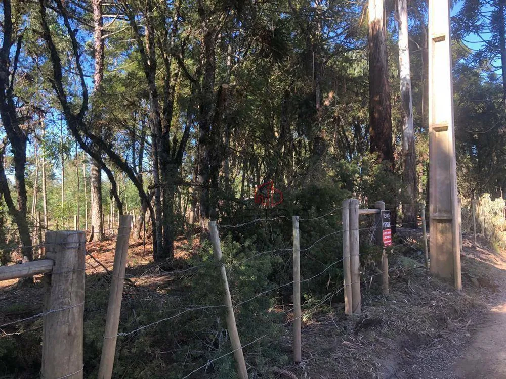 Terreno, 1400 m² - Foto 1