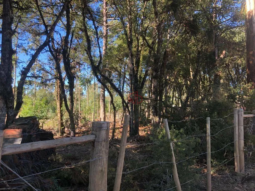 Terreno, 1400 m² - Foto 3
