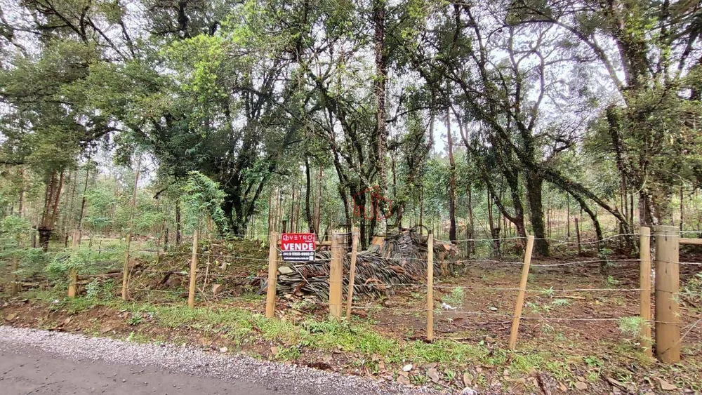 Terreno, 1400 m² - Foto 4