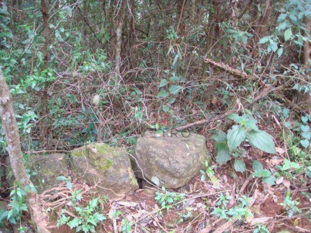 Terreno, 5 hectares - Foto 4