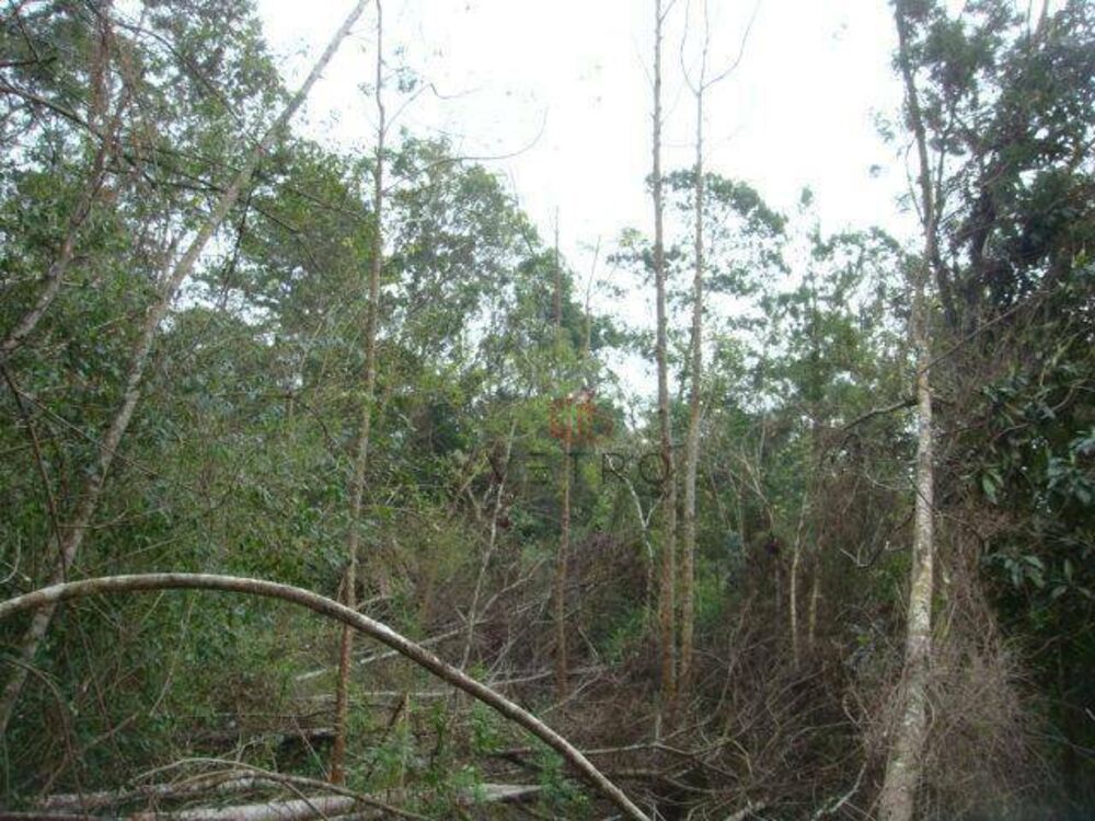 Terreno, 5 hectares - Foto 1
