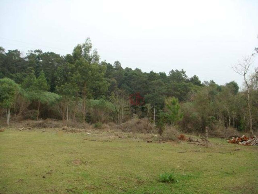 Terreno, 5 hectares - Foto 6