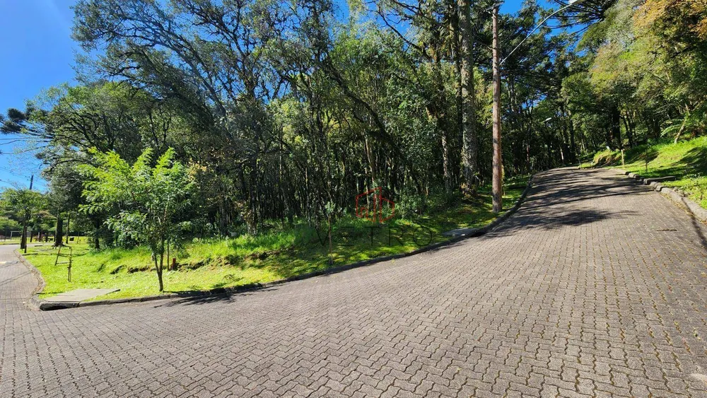 Loteamento e Condomínio, 914 m² - Foto 3