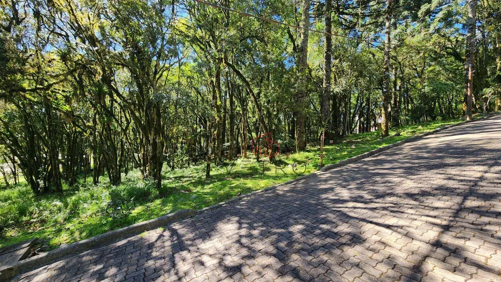 Loteamento e Condomínio, 914 m² - Foto 2