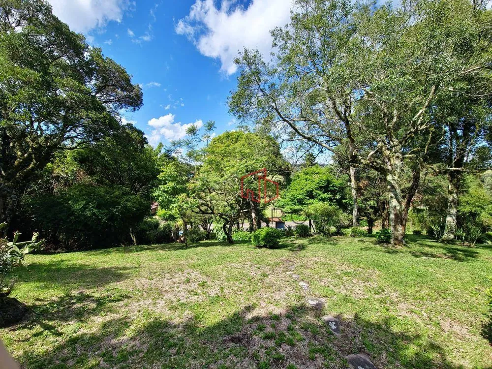 Sítio, 2 quartos, 5770 m² - Foto 4