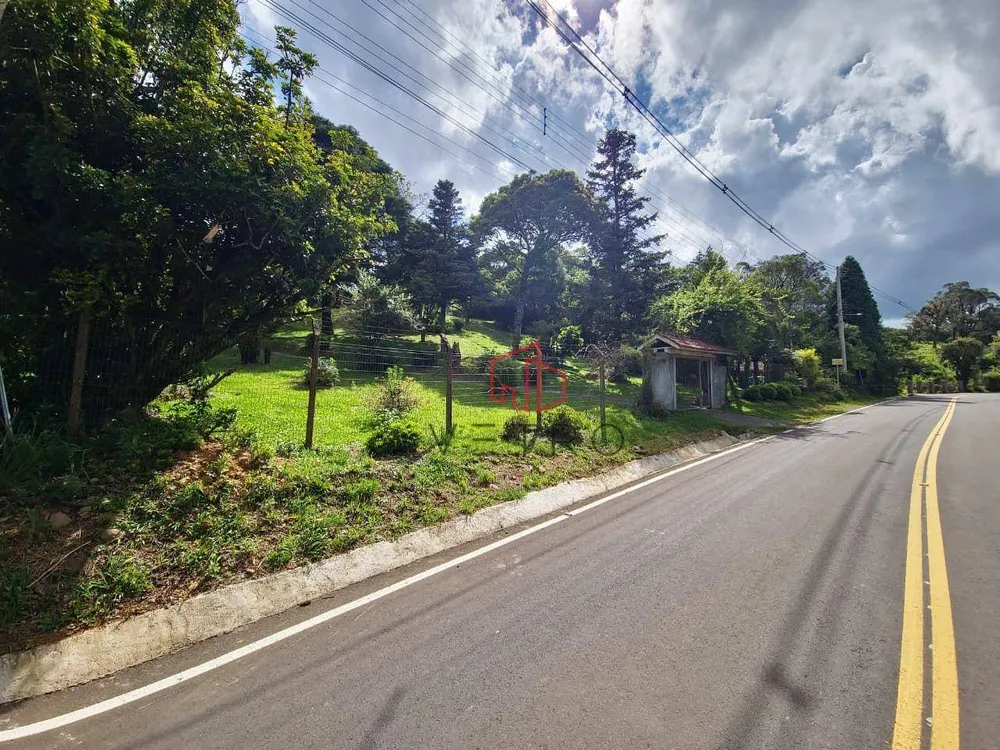 Sítio, 2 quartos, 5770 m² - Foto 10