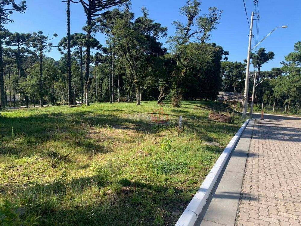 Loteamento e Condomínio, 448 m² - Foto 2