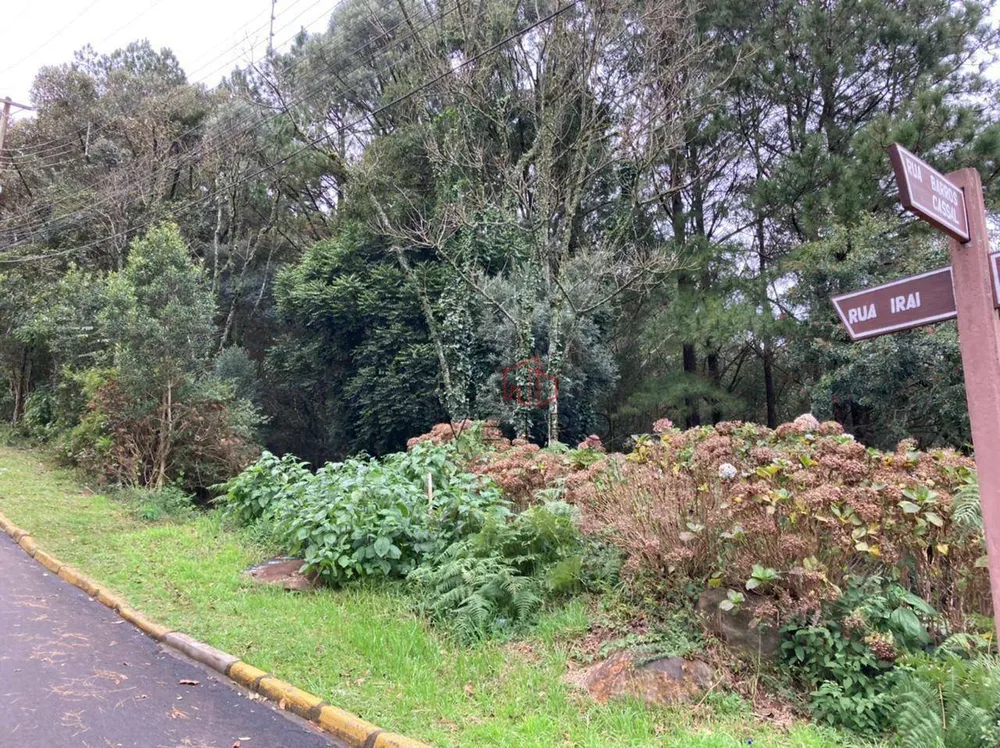 Terreno, 769 m² - Foto 2