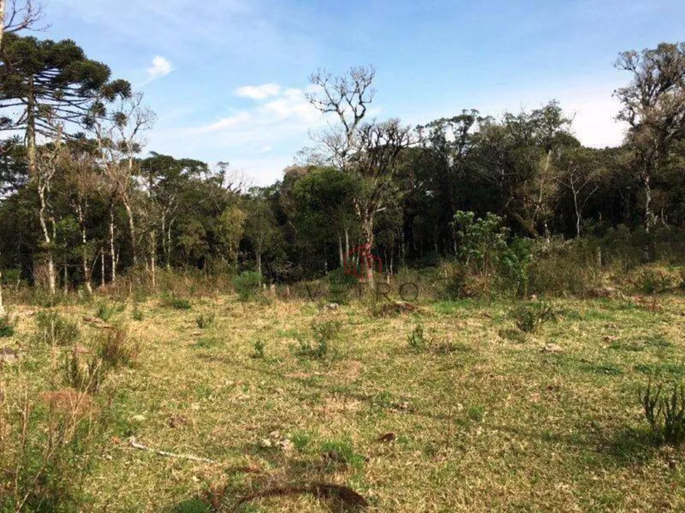 Sítio, 1 quarto, 200 hectares - Foto 1
