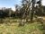 Sítio, 1 quarto, 200 hectares - Foto 3