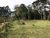 Sítio, 1 quarto, 200 hectares - Foto 4