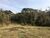 Sítio, 1 quarto, 200 hectares - Foto 6