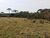 Sítio, 1 quarto, 200 hectares - Foto 7