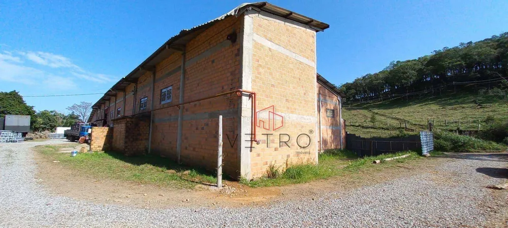 Sítio, 3 hectares - Foto 6