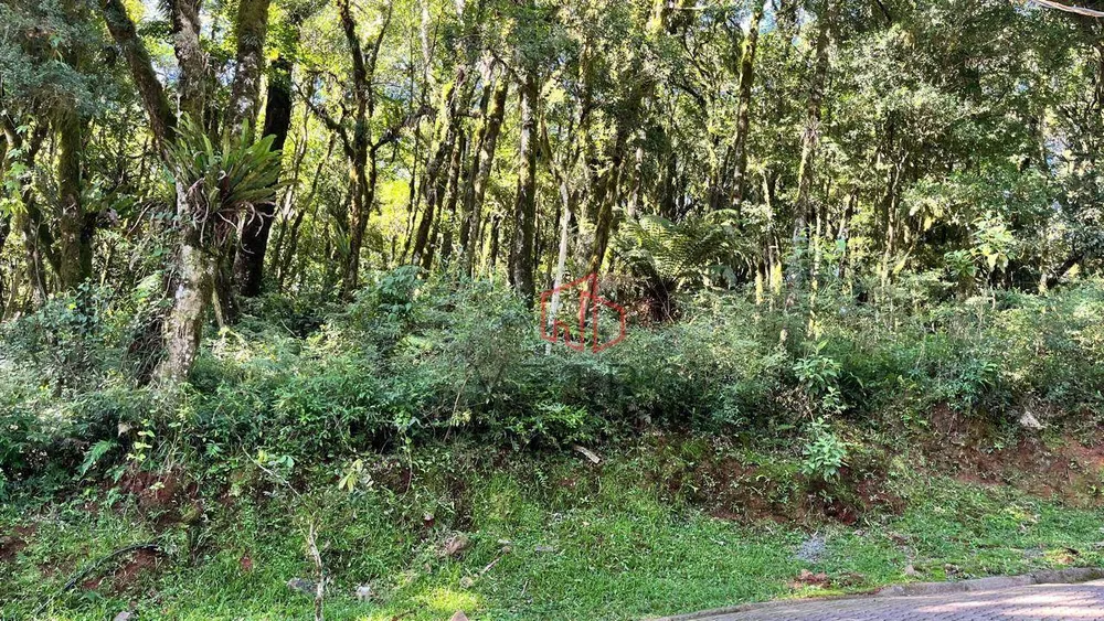 Loteamento e Condomínio, 734 m² - Foto 5